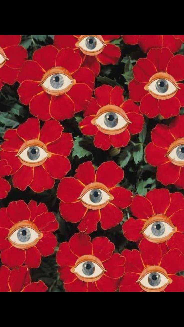 red flowers with an eye in the middle