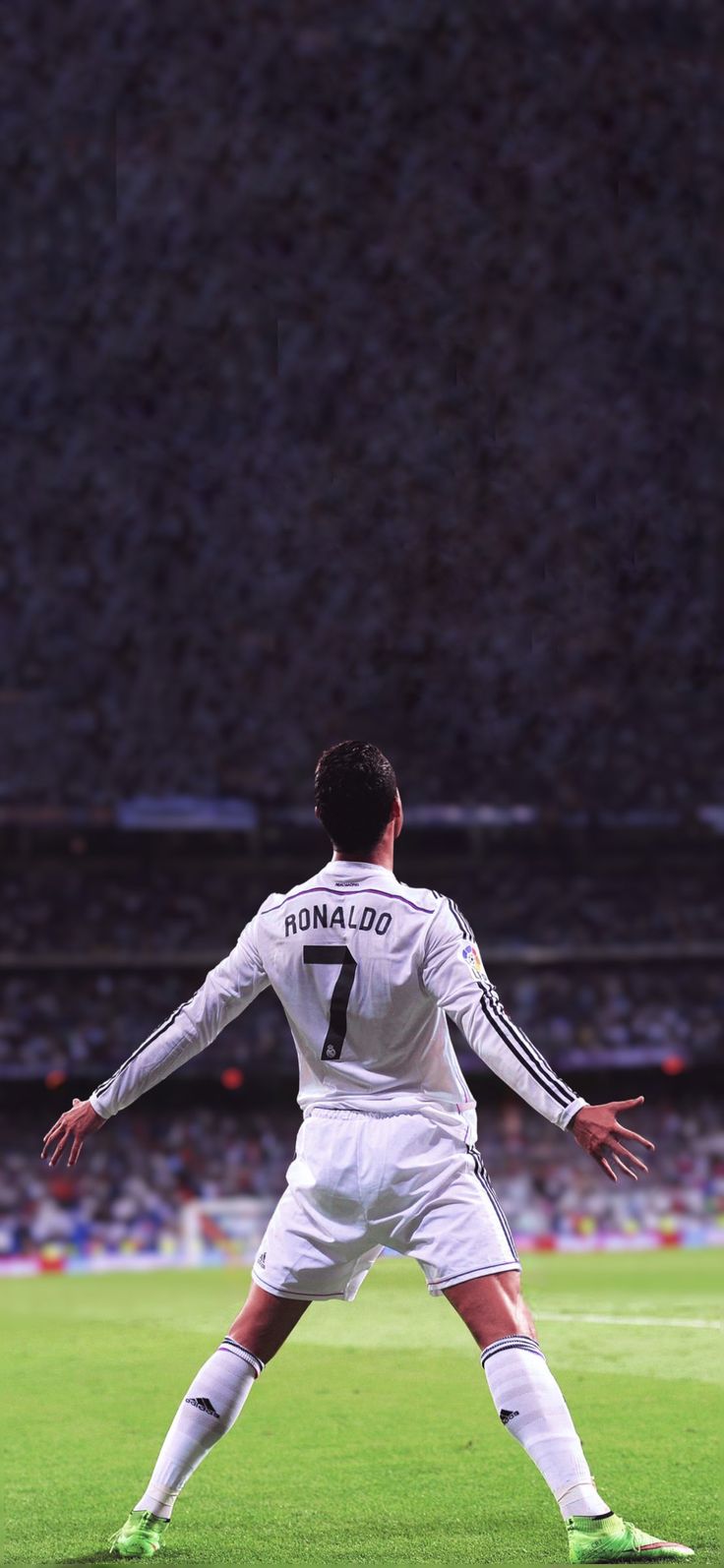 a man standing on top of a soccer field