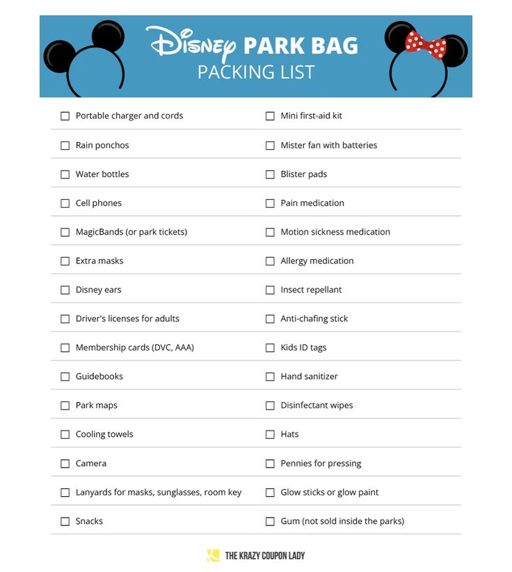 the disney park bag packing list