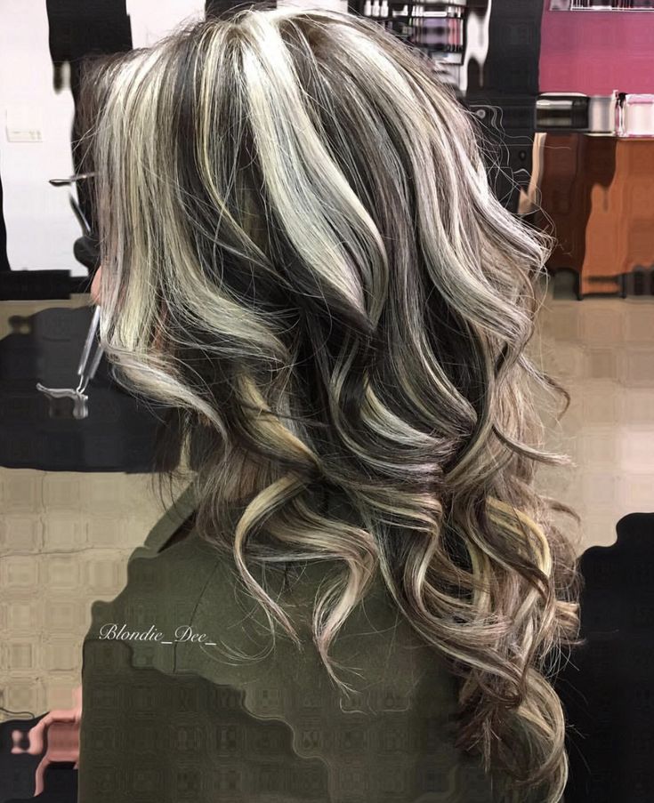 Skunk Hair, Blonde Highlights On Dark Hair, Hair Color Streaks, Hair Streaks, Dark Hair With Highlights, Blonde Hair Inspiration, Pretty Hair Color, Hair Stylies, Hair Dye Colors