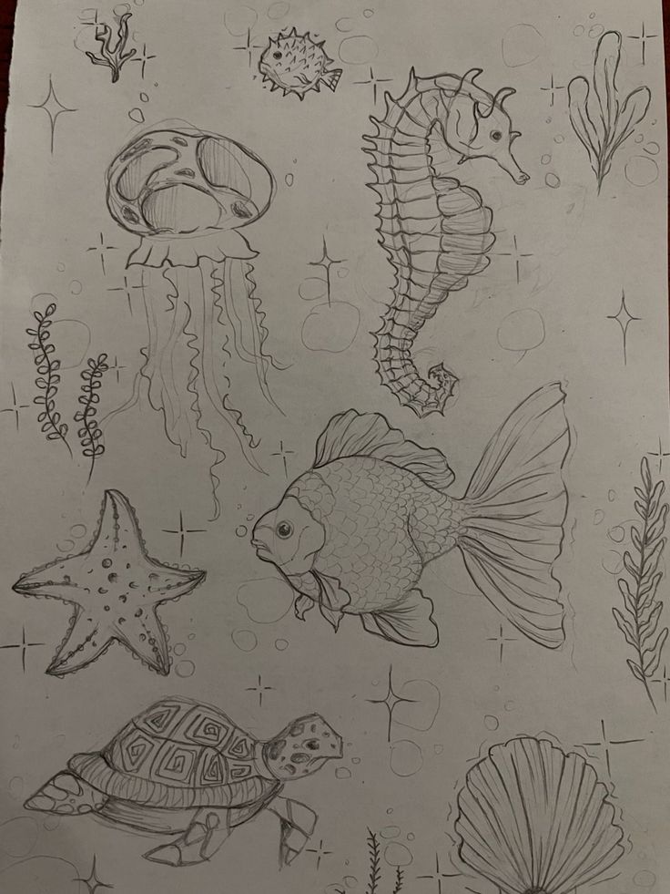 a drawing of sea animals and fish on paper