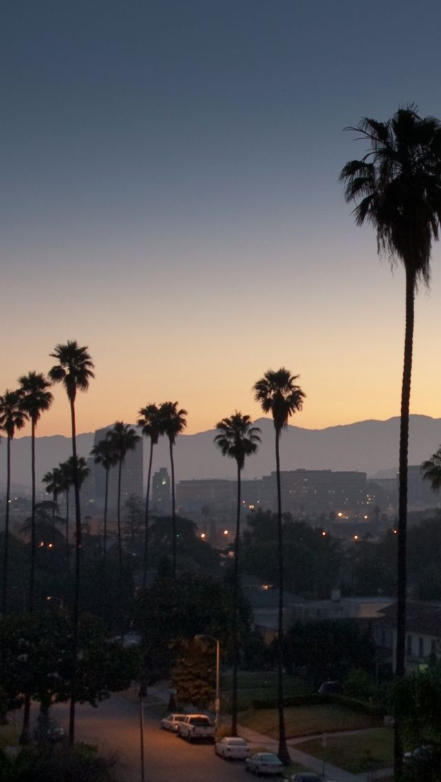 palm trees line the street in front of a city skyline at sunset with mountains in the distance