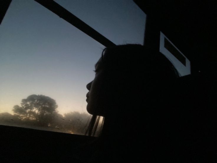 the silhouette of a person sitting in a bus looking out the window at trees outside