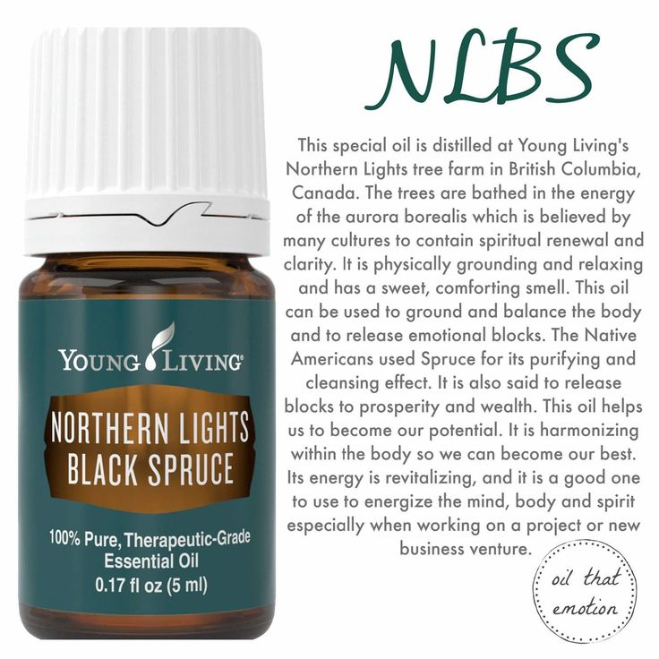 Northern lights black spruce emotional Northern Lights Black Spruce, Spruce Essential Oil, Black Spruce, Floral Essential Oils, Essential Oils 101, Young Living Essential Oils Recipes, Yl Oils, Yl Essential Oils, Essential Oils Gifts