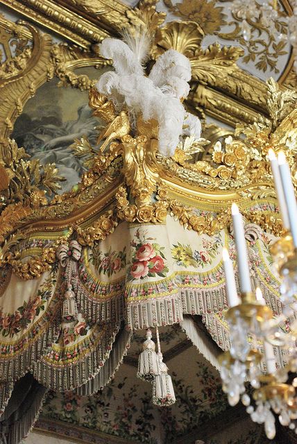 an ornate gold chandelier hangs from the ceiling