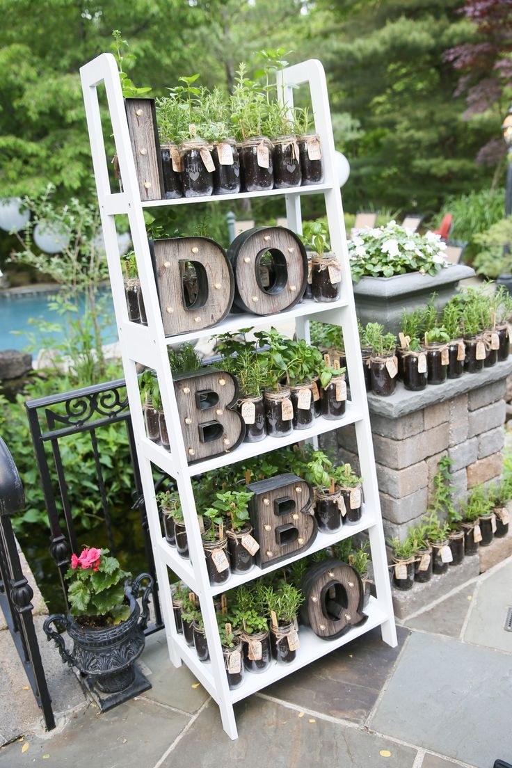 a white shelf filled with plants and letters