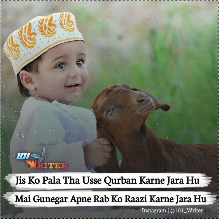 a little boy that is standing next to a baby goat with a crown on his head