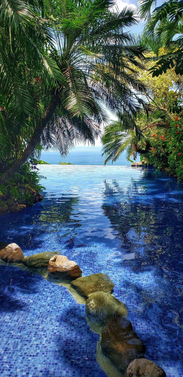 an outdoor swimming pool surrounded by palm trees and blue water with rocks in the middle