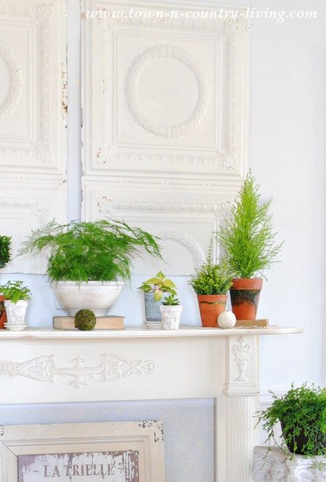 there are many potted plants on the mantle