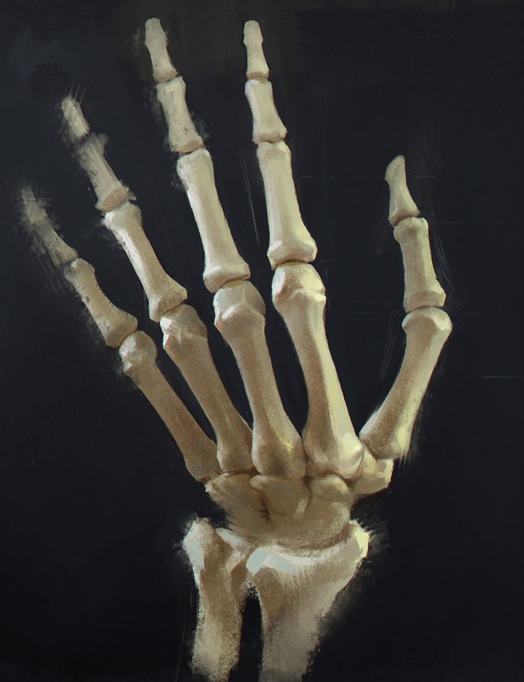 a painting of a skeleton hand with the bones exposed to show lower and upper limbs