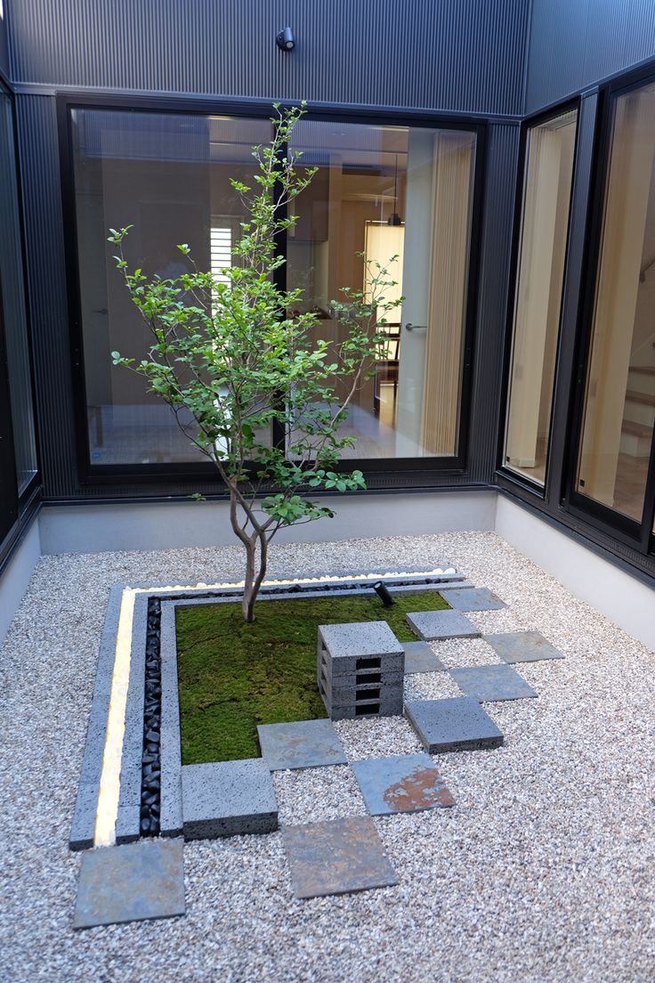 a bonsai tree is in the middle of a graveled area with stepping stones