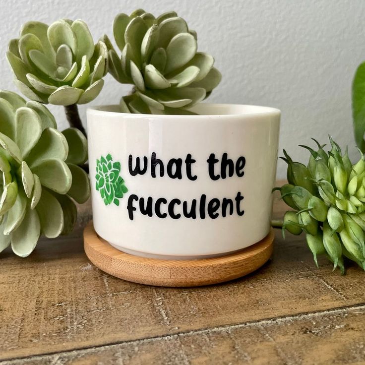 a white coffee cup sitting on top of a wooden table next to succulents