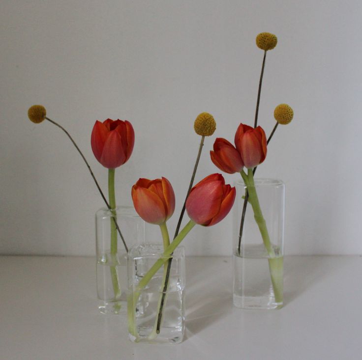 three glass vases with flowers in them on a white countertop next to each other