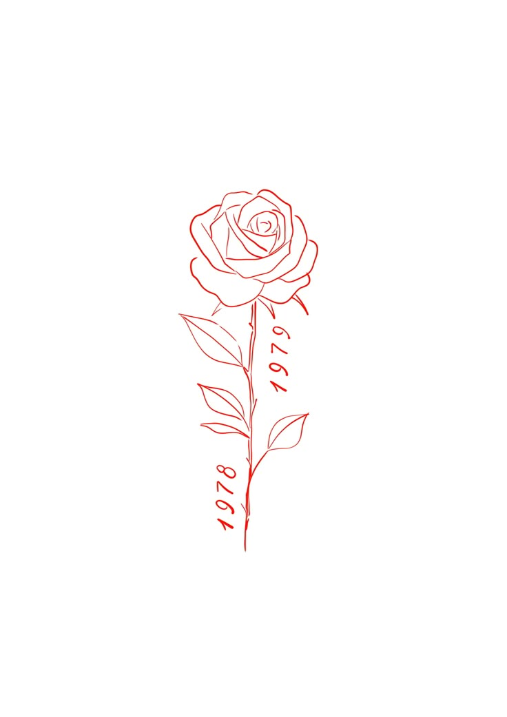 a drawing of a rose with the word love written in red ink on a white background