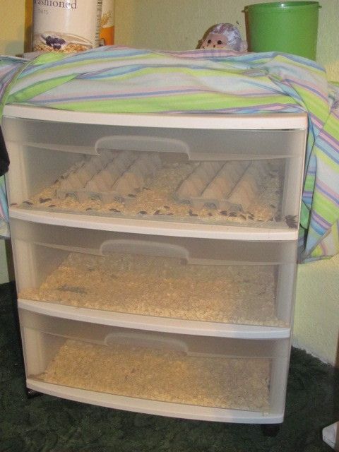 a shelf filled with lots of food next to a bed