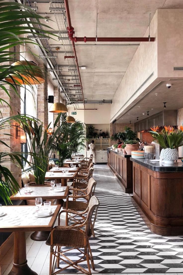 a restaurant with tables and chairs lined up against the wall, along with potted plants