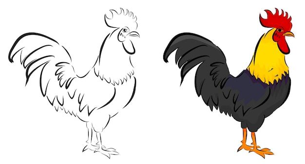 a rooster standing next to another chicken on top of a white surface with black and yellow feathers