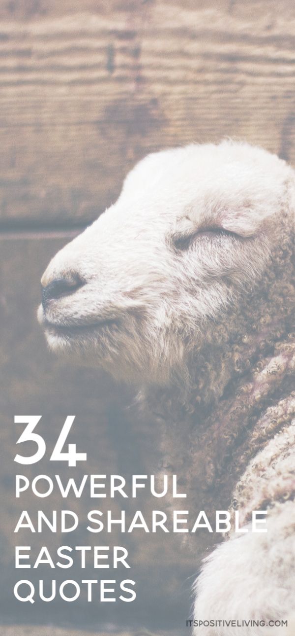 a sheep with its eyes closed and the words, 34 powerful and shareable easter quotes