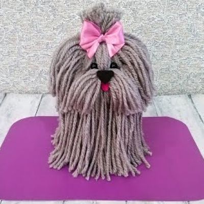 a gray dog with a pink bow on it's head sitting on a purple mat