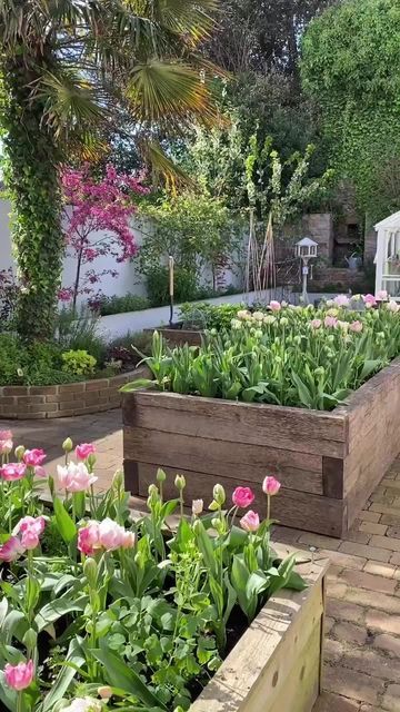 a garden filled with lots of plants and flowers