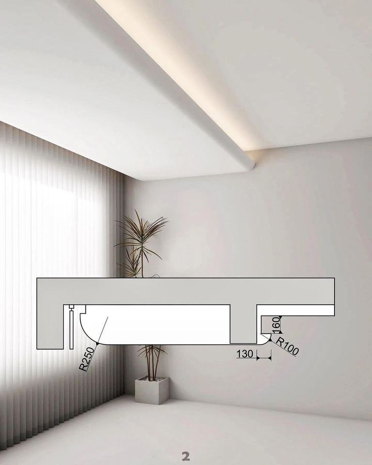 a white room with a plant in the corner and measurements on the wall above it