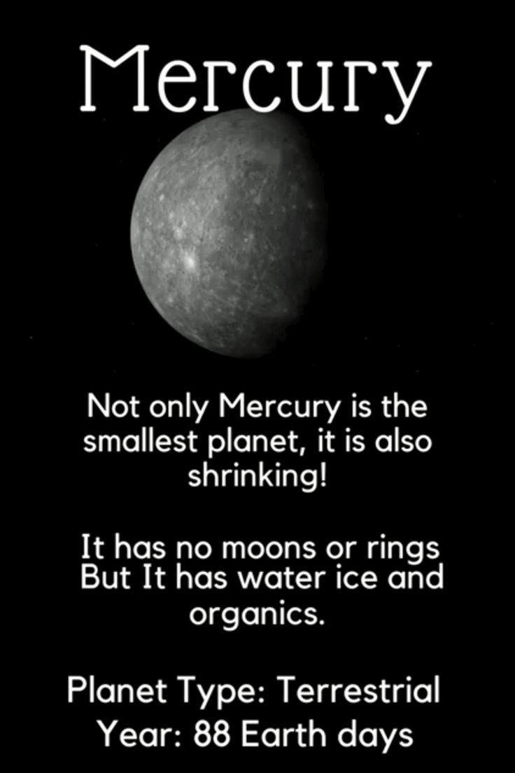 Mercury
Not only Mercury is the smallest planet, it is also shrinking!
It has no moons or rings But It has water ice and organics.
Planet Type: Terrestrial
Year: 88 Earth days.
#mercury Model Of Mercury Planet, Fun Facts About Planets, Mercury Poster Planet, Mercury Photos Planet, Mercury Facts, Facts About Mercury, Facts About Mercury Planet, Mercury Planet, Small Planet