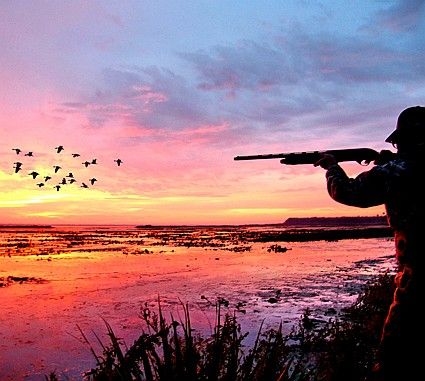 Hunting Pics, Hunting Photography, Goose Hunting, Hunting Pictures, Duck Hunt, Hunting Stuff, Waterfowl Hunting, Hunting Girls, Duck Hunter