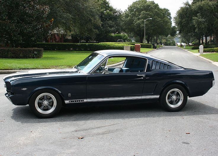 a black mustang sitting in the middle of a parking lot next to trees and bushes