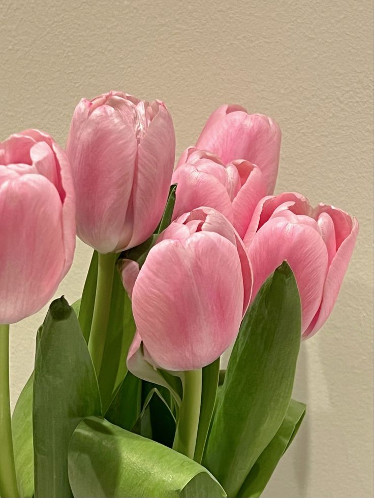 pink tulips are in a vase with green leaves on the bottom and white wall behind them