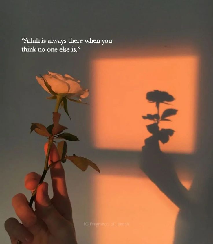 a person holding a flower in their hand with the shadow of a window behind them