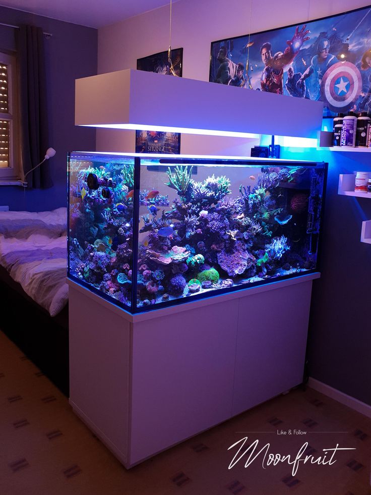 an aquarium in the corner of a bedroom