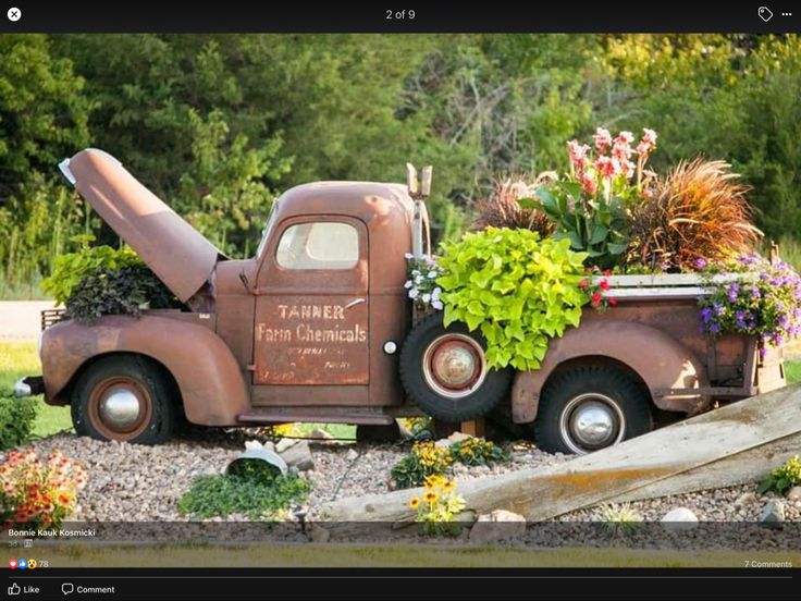 an old truck with plants in the back