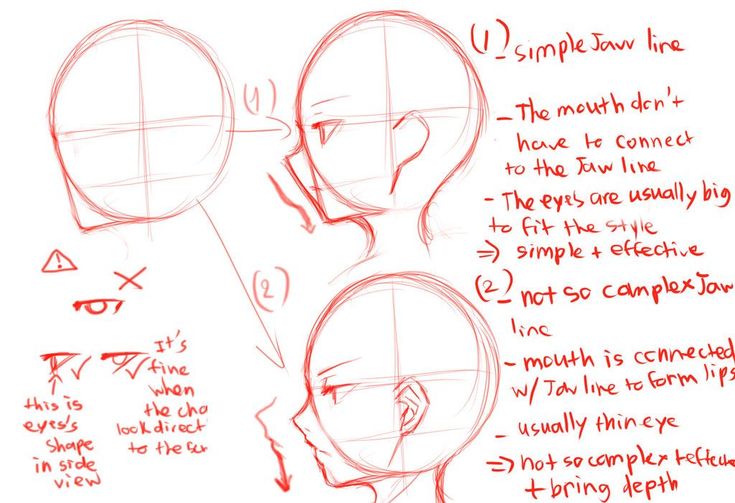 an image of how to draw the human head