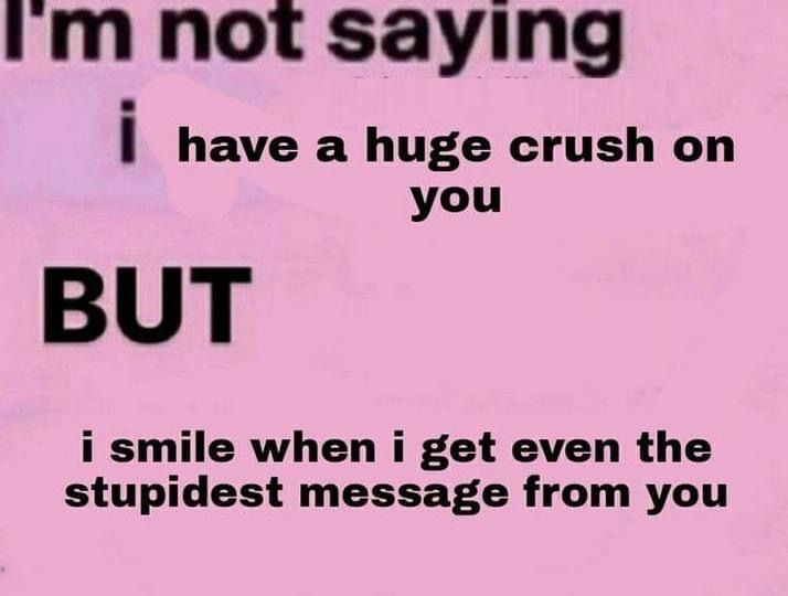 i'm not saying i have a huge crush on you but i smile when i get even the stupidest message from you