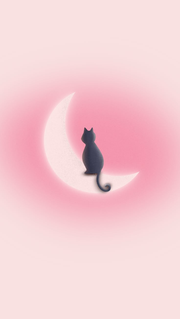 a black cat sitting on top of a crescent moon in the sky with pink background