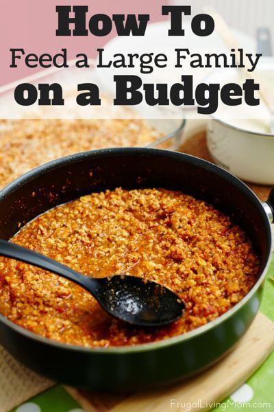 how to feed a large family on a budget