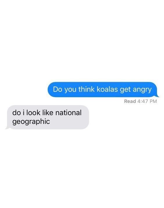 two texts that say do you think koalas get angry and do i look like national geographic