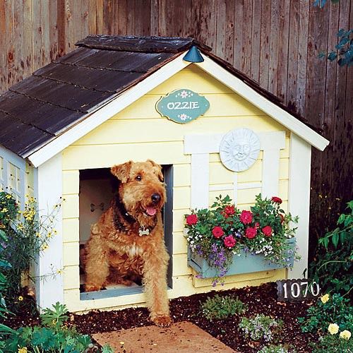 a dog is standing in his house with flowers