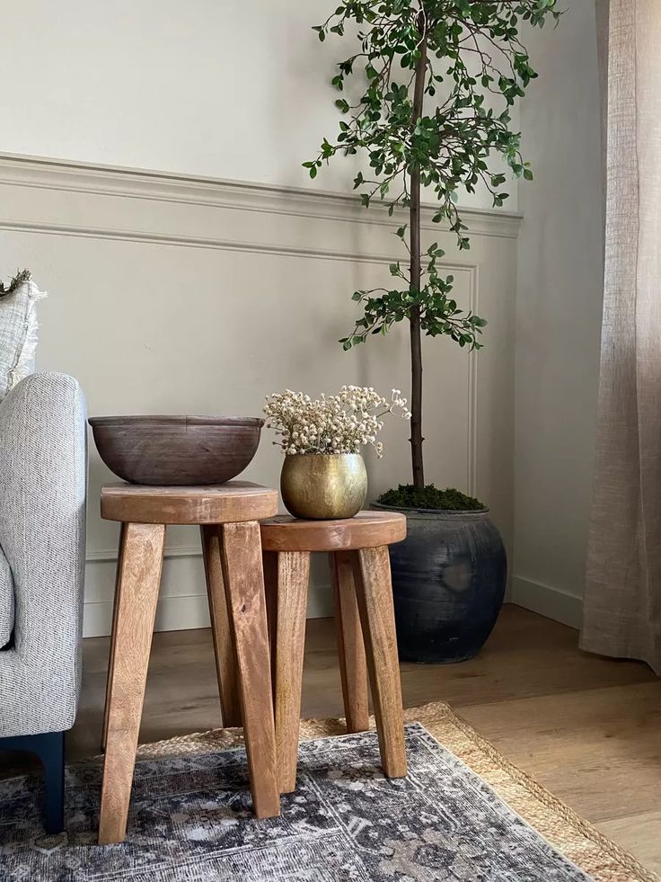 two wooden stools sitting on top of a rug next to a table with a potted plant