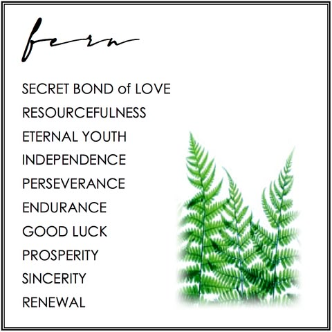 fern leaves with the words, secret bond of love resourcefuness eternal youth independence