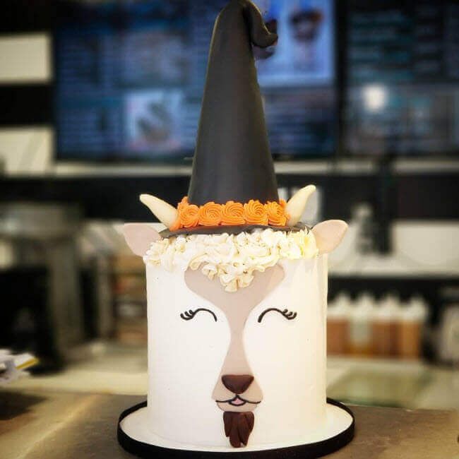 a cake decorated with an animal wearing a witches hat