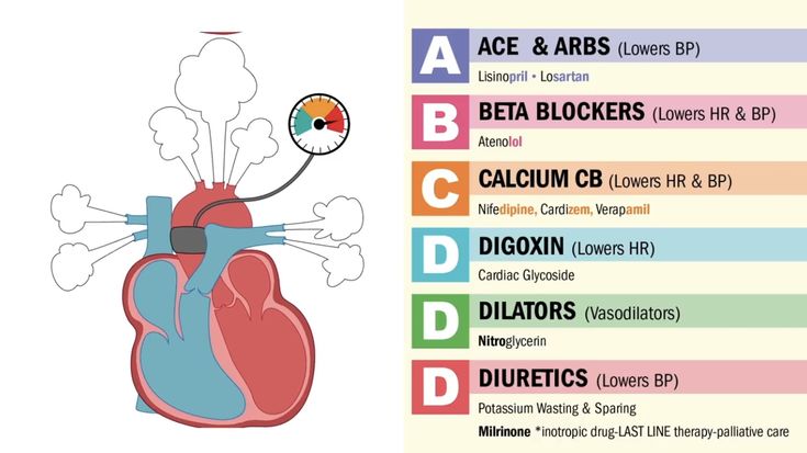 the heart is labeled with different types of blood