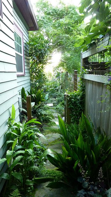 a garden with lots of green plants next to a house