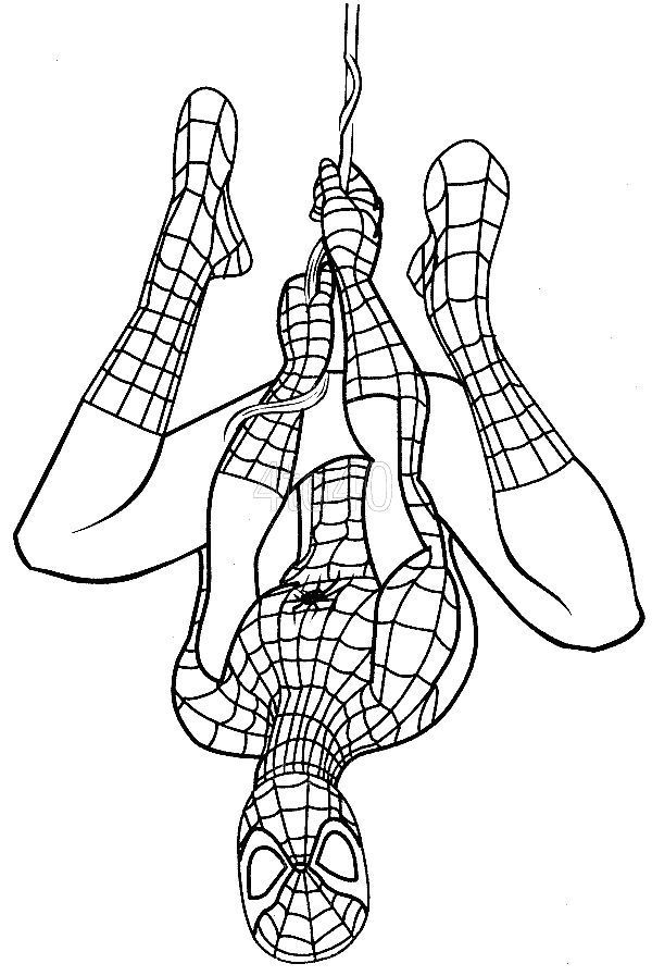 spiderman hanging upside down coloring page