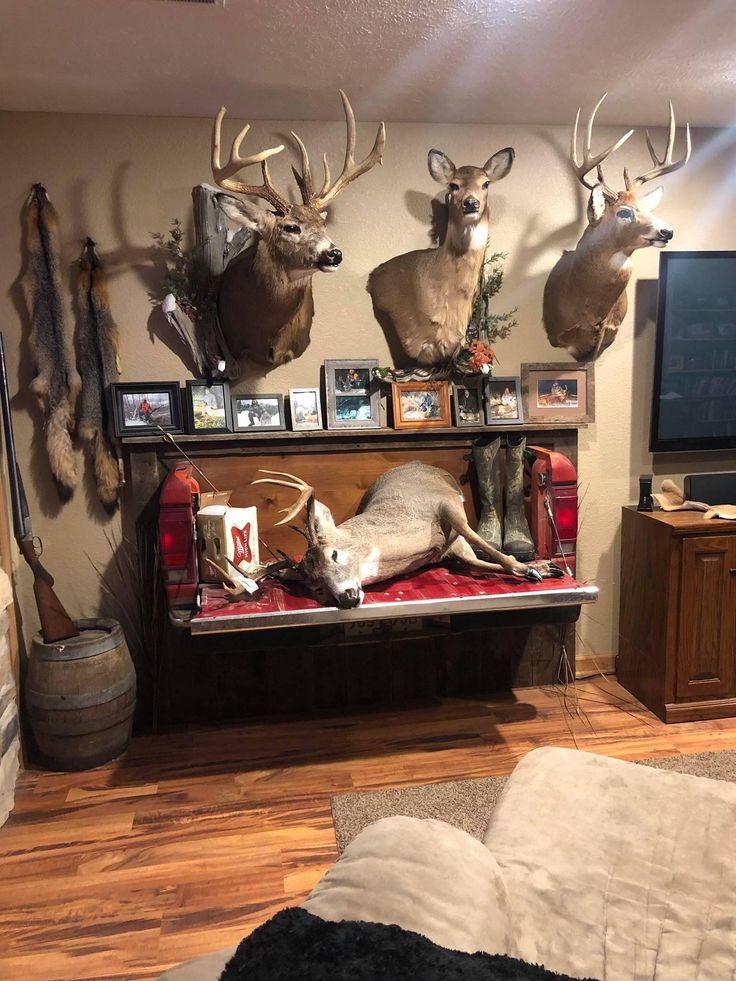 some deer heads mounted to the wall in a living room