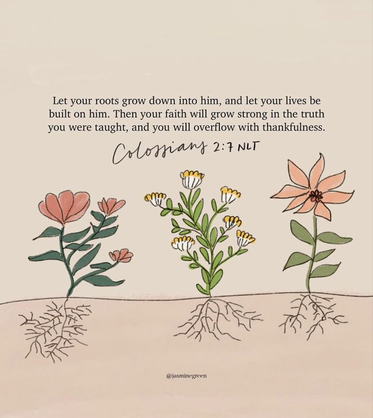 three flowers with the words, let your roots grow into him and let your lives be built on him