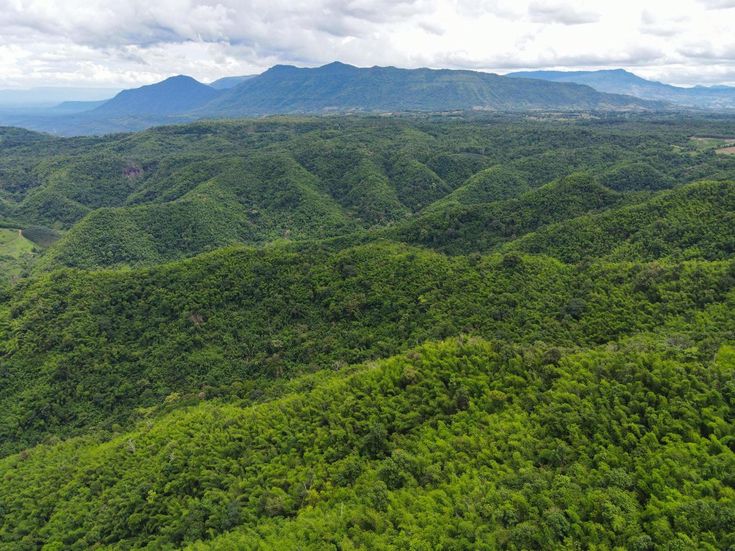 an aerial view of green mountains and trees