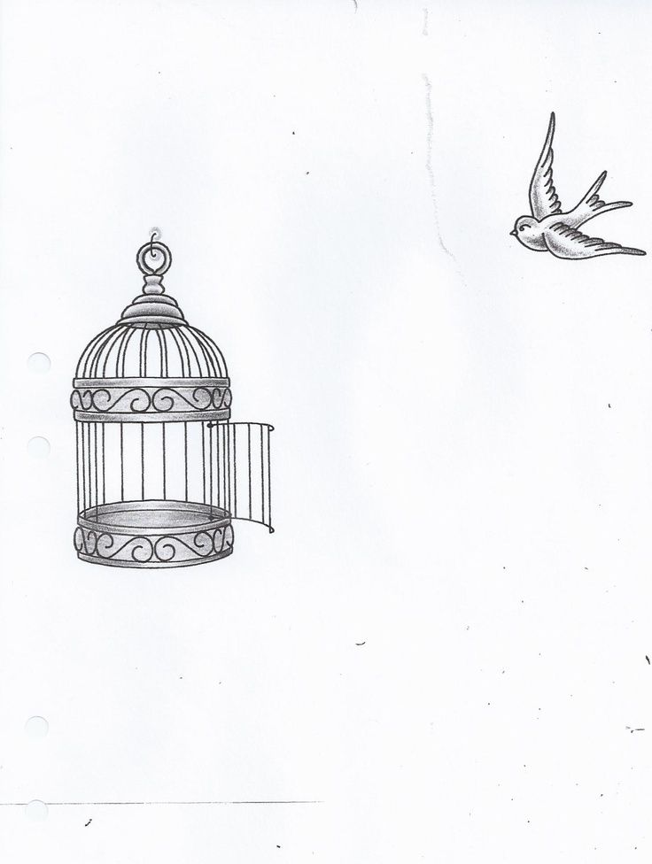 a drawing of a bird flying next to a cage with a bird in it's mouth