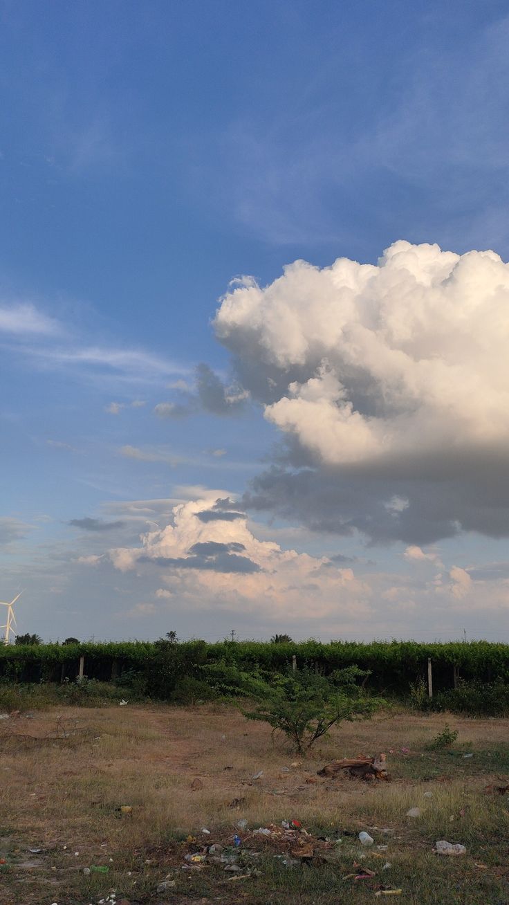 a large cloud is in the sky above a field with trees and trash on it