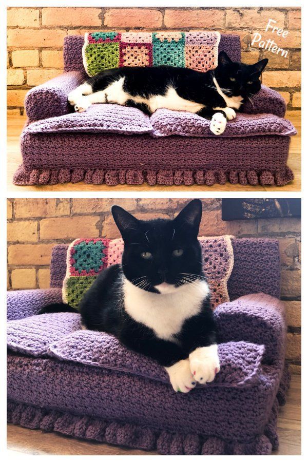 two pictures of a black and white cat laying on a purple crocheted couch